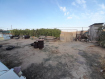 Дом городской округ Элиста . Фото 25