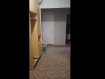 2-комнатная квартира, 7-й микрорайон, 1к1. Фото 4