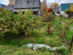 Дом городской округ Сыктывкар . Фото 38