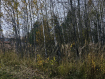 Участок городской округ Владимир Октябрьский район. Фото 3