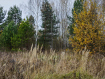 Участок городской округ Владимир Октябрьский район. Фото 7