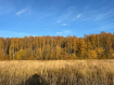 Коммерческая недвижимость  Собинский район , . Фото 3