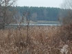 Участок Раменский городской округ . Фото 7