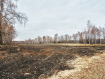 Участок городской округ Воронеж Левобережный район. Фото 1