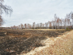 Участок городской округ Воронеж Левобережный район. Фото 2