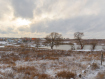 Участок городской округ Владимир Ленинский район. Фото 8