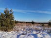 Коммерческая недвижимость Октябрьский район городской округ Владимир , . Фото 5