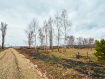 Участок городской округ Воронеж Левобережный район. Фото 1