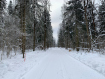 Участок Дмитровский городской округ . Фото 4