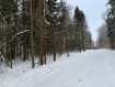 Участок Дмитровский городской округ . Фото 2