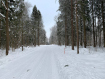 Участок Дмитровский городской округ . Фото 6