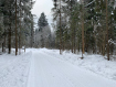 Участок Дмитровский городской округ . Фото 5