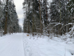 Участок Дмитровский городской округ . Фото 5