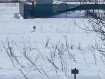 Участок городской округ Подольск . Фото 2