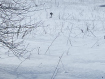 Участок городской округ Подольск . Фото 3