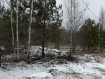 Участок городской округ Владимир Октябрьский район. Фото 1
