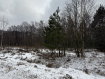 Участок городской округ Владимир Октябрьский район. Фото 6