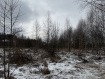 Участок городской округ Владимир Октябрьский район. Фото 11