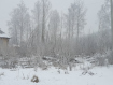 Участок городской округ Тамбов Октябрьский район. Фото 2