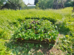 Дом Орехово-Зуевский городской округ . Фото 24