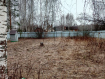 Дом Орехово-Зуевский городской округ . Фото 12