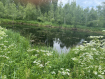 Коммерческая недвижимость  Орехово-Зуевский городской округ , 76. Фото 8