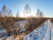 Участок городской округ Владимир Октябрьский район. Фото 7