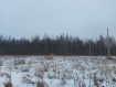 Участок Орехово-Зуевский городской округ . Фото 1