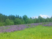 Участок городской округ Пермь Мотовилихинский район. Фото 1