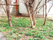 1-комнатная квартира, улица Жуковского, 24к1. Фото 7