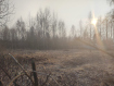 Участок Орехово-Зуевский городской округ . Фото 2