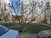 1-комнатная квартира, Черкасская улица, 129. Фото 19