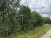 Участок городской округ Владимир Октябрьский район. Фото 3