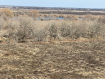 Дом Рязанский район . Фото 17