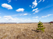 Участок Суздальский район . Фото 4