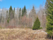 Участок Кирилловский район . Фото 4