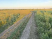 Коммерческая недвижимость  Усть-Кубинский муниципальный округ , . Фото 5