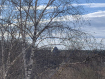 1-комнатная квартира, Октябрьская улица, 13к2. Фото 9