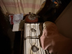 Дом Судогодский район . Фото 36