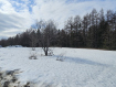 Участок Корсаковский городской округ . Фото 5