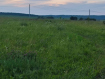 Участок Суздальский район . Фото 6
