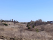 Участок Суздальский район . Фото 8