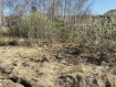 Участок Богородский городской округ . Фото 1
