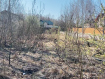 Участок Богородский городской округ . Фото 3