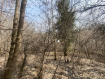 Участок городской округ Нижний Новгород . Фото 3