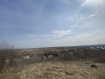 Участок городской округ Нижний Новгород . Фото 8