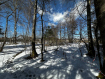 Участок Наро-Фоминский городской округ . Фото 9