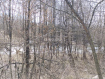 Дом Вязниковский район . Фото 17