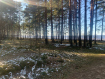 Участок Ломоносовский район территория Урочище Пярнушки. Фото 4
