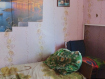 Дом Ангарский городской округ микрорайон Старо-Байкальск. Фото 16